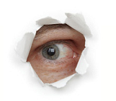 Google Author Rank